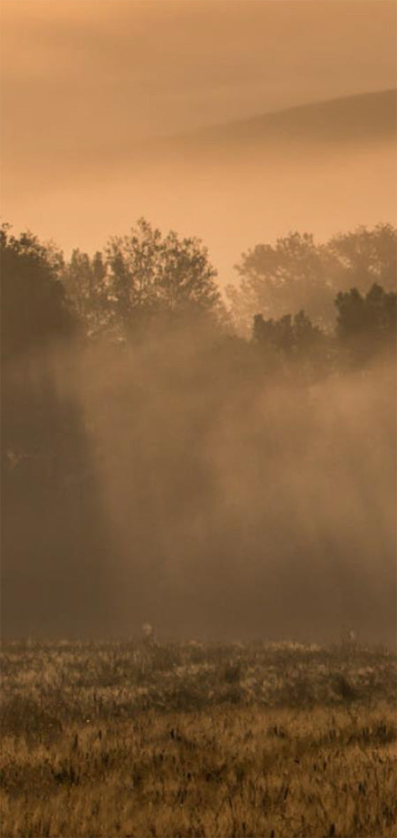 Autumn mood in Lhoka by hima jomo at Indigo