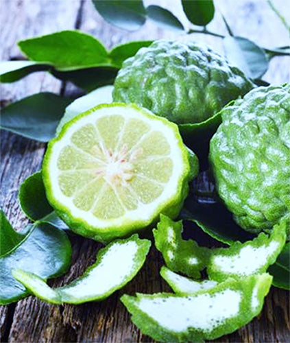 BERGAMOTE TWIST by Jul et Mad at Indigo 