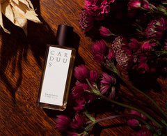 Carduus by Jorum Studio