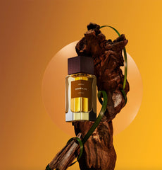 Dormir Al Sol by Frassaï at Indigo