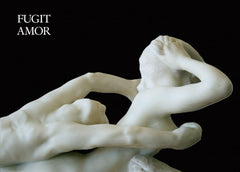 Fugit Amor by Jul et Mad inspiration