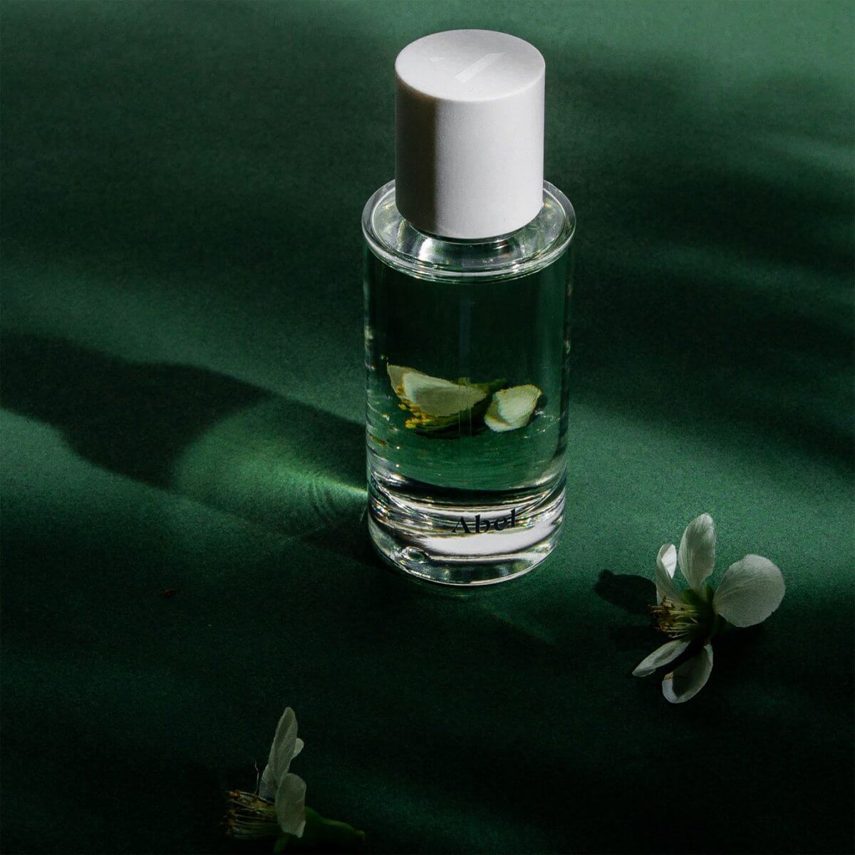 Green Cedar by Abel at Indigo