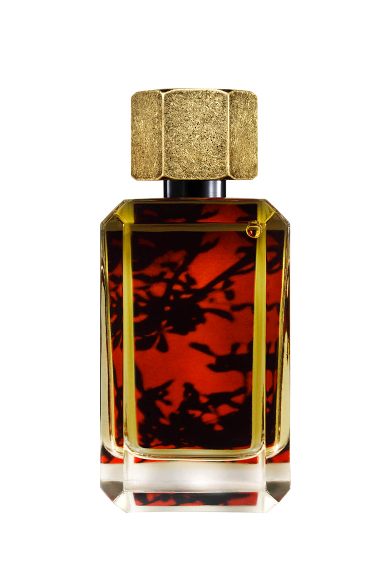 La Couleur de la Nuit by Voyages Imaginaires at Indigo 