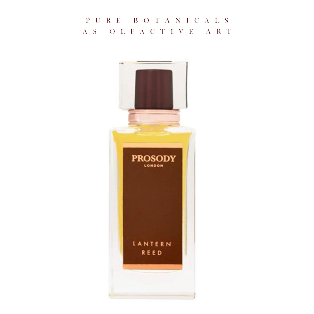 Lantern Reed by Prosody London at Indigo Perfumery