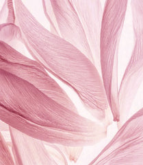 LYS NOBILIS by Jul et Mad at Indigo 