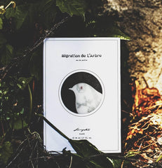 Migration de L’Arbre by Senyoko