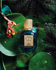 Nabati by Astrophil & Stella