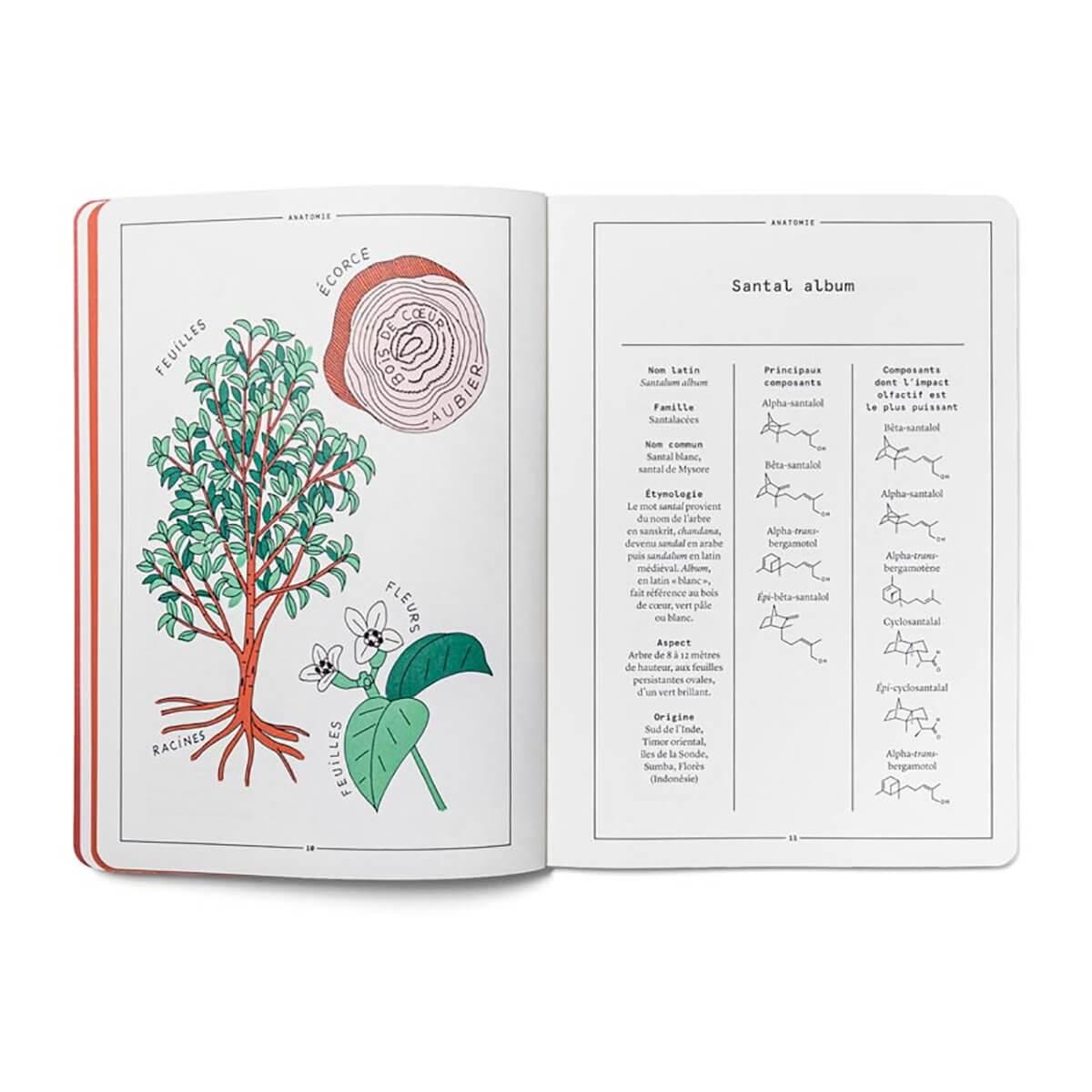 Sandalwood Naturals Notebook by Nez at Indigo - Indigo Perfumery