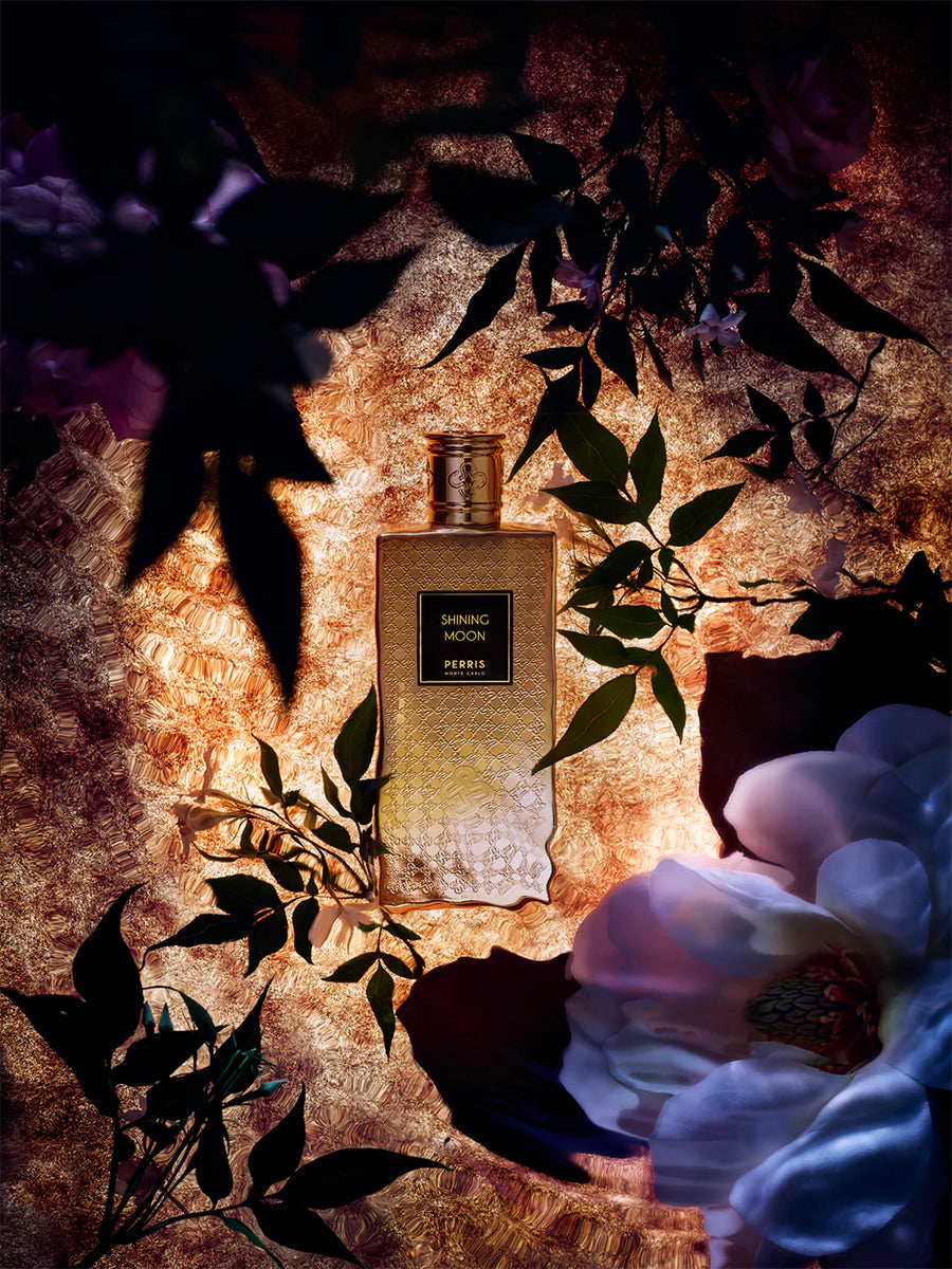 Shining Moon by Perris Monte Carlo scene