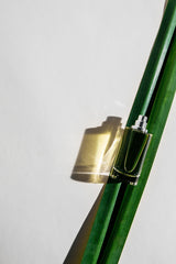 White Vetiver by Abel - Indigo Perfumery